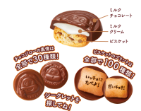 Бисквитное печенье с молочным шоколадом "Джиро" Sakuyama Chocojirou, 51 г, Япония