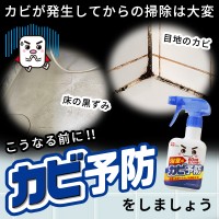 Спрей для предотвращения появления плесени в ванной комнате LEC, 320 мл