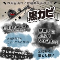 Спрей LEC с молочной кислотой для удаления плесени в ванной комнате, 320мл, Япония