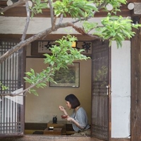 Тофу — традиция Японии