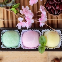 Впервые японские моти в России