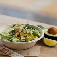 Чем отличаются поке от донбури — это ведь всё боулы?