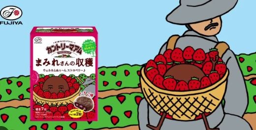 Шоколадное печенье "По уши в шоколаде" в шоколадной глазури с крошкой клубничного шоколада внутри  Country Ma'am Mamire san no Yasumi Фуджия Fujiya, 7 штук, 70 г, коробка, Япония