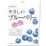 Желе Ёкан с черникой, 42г, Япония