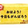 Японский кит-кат овсяное печенье с кремом и злаками Nestle, 1 штука (мини)