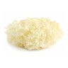 Коралловые грибы Инъер (Ледяной гриб), сушеные, белые, 1000 г