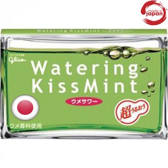 Жевательная резинка Kissmint слива с кислинкой, 16,9г