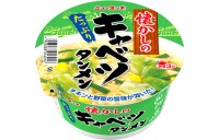 Лапша Негирамен с зеленым луком порей, с мясным фаршем и соевым соусом на курином бульоне Ямадай Yamadai, 100 г, Япония